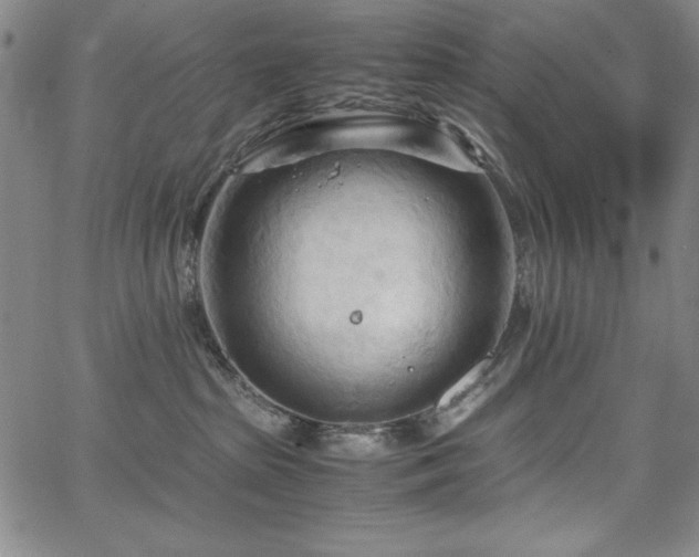 X0000067830285200604131208