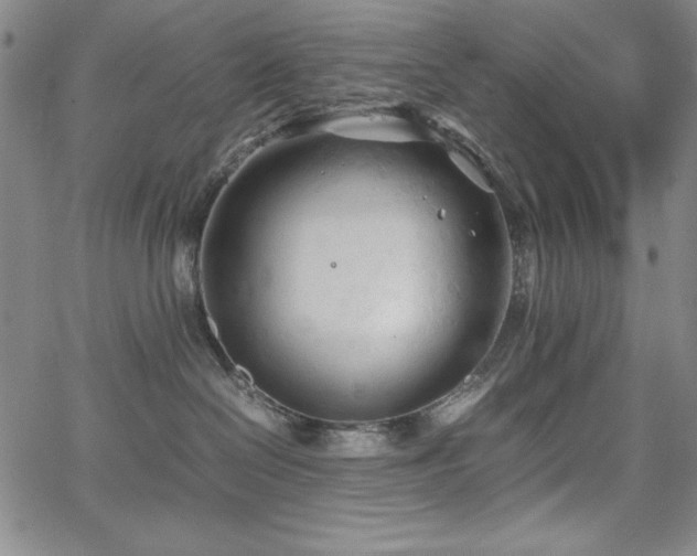 X0000067830286200604131208