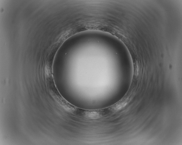 X0000067830287200604131208