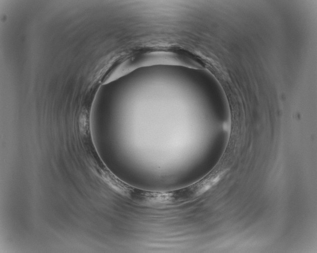 X0000067830288200604131208