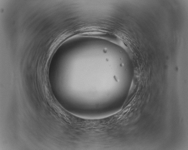 X0000067830289200604131208