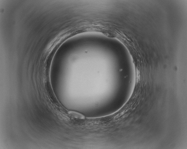 X0000067830291200604131208