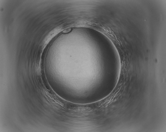 X0000067830292200604131208