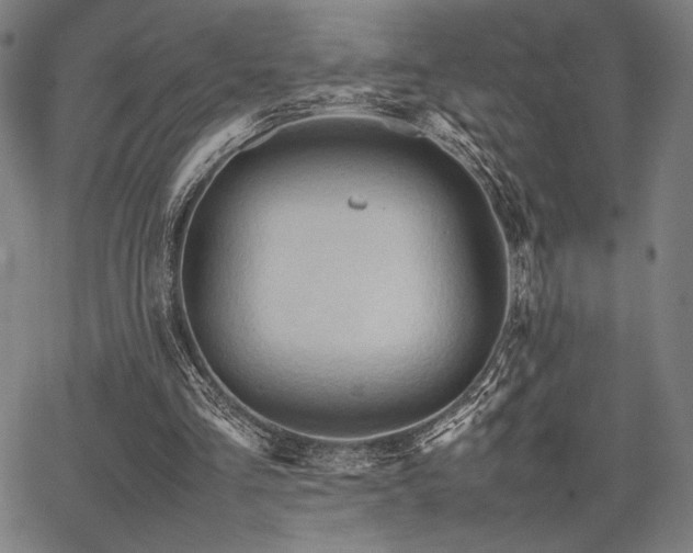 X0000067830293200604131208