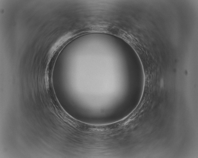 X0000067830294200604131208