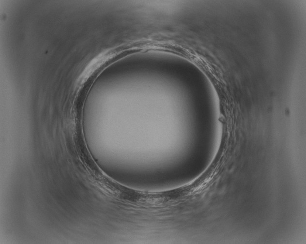 X0000067830295200604131208