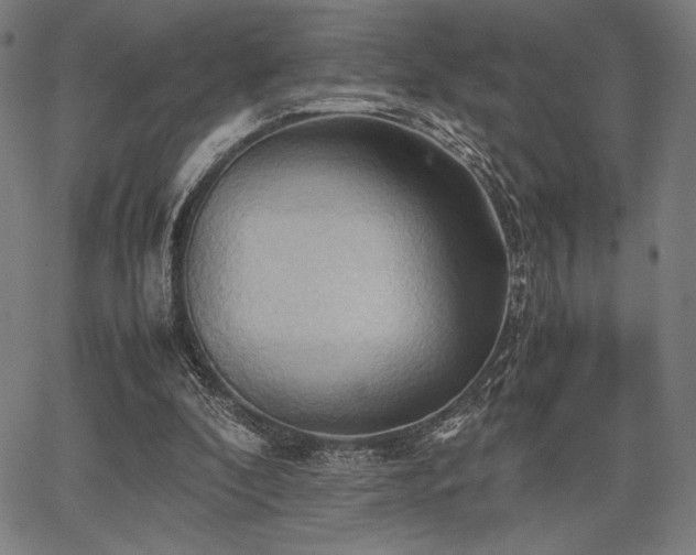 X0000067830296200604131208