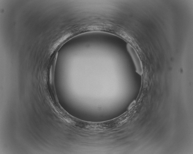 X0000067830297200604131208