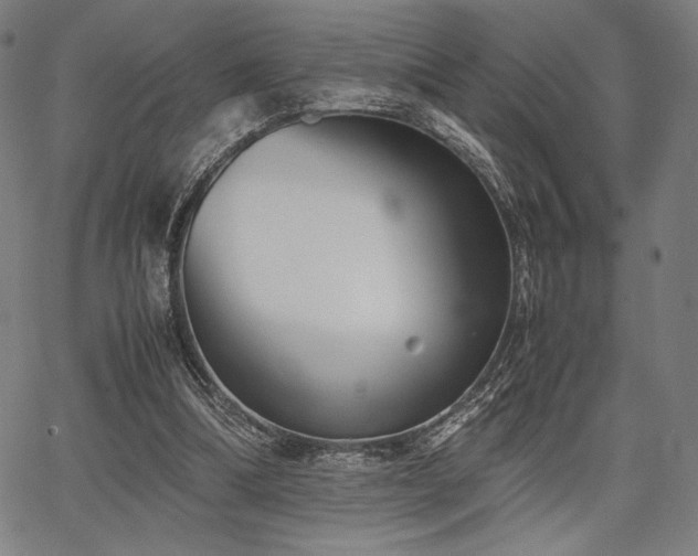 X0000067830298200604131208