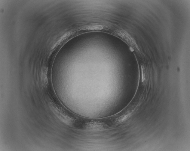 X0000067830300200604131208