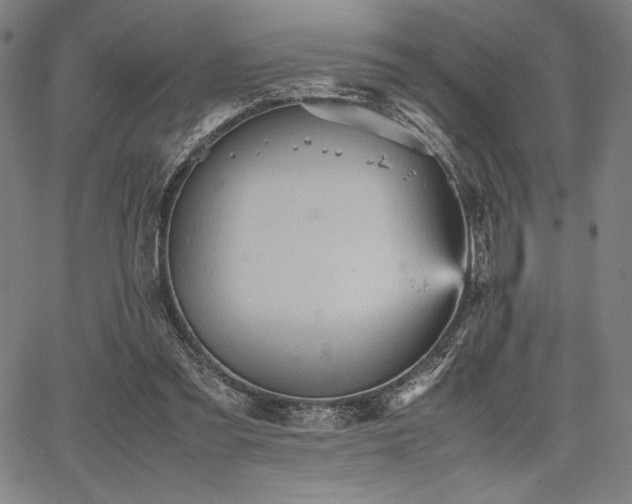 X0000067830301200604131208