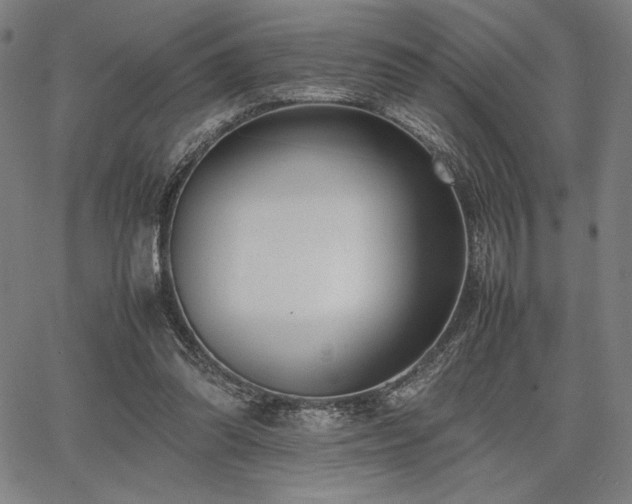 X0000067830302200604131207