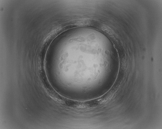 X0000067830303200604131207