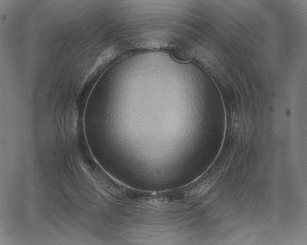 X0000067830304200604131207