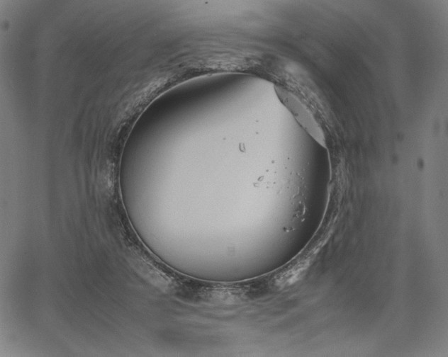 X0000067830305200604131207