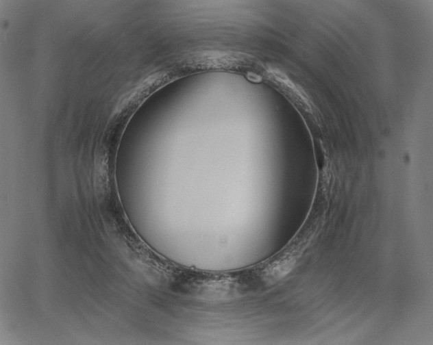 X0000067830306200604131207