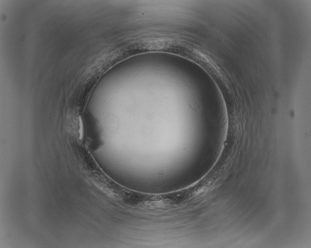 X0000067830307200604131207