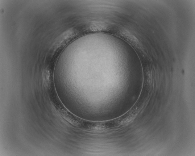 X0000067830308200604131207