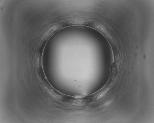 X0000067830309200604131207