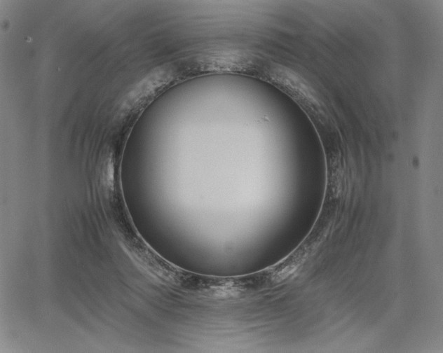 X0000067830310200604131207