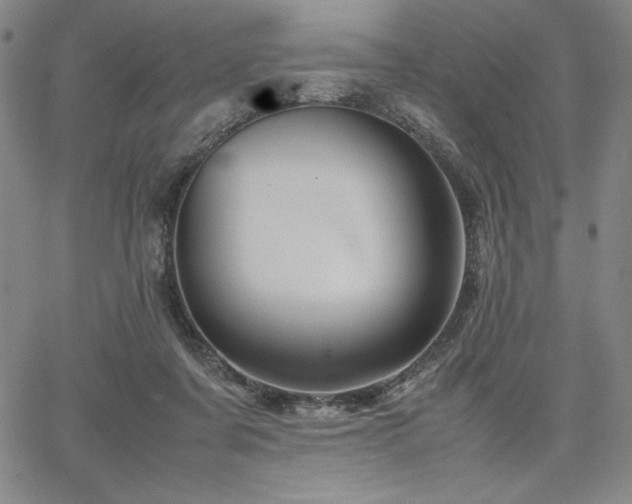 X0000067830311200604131207