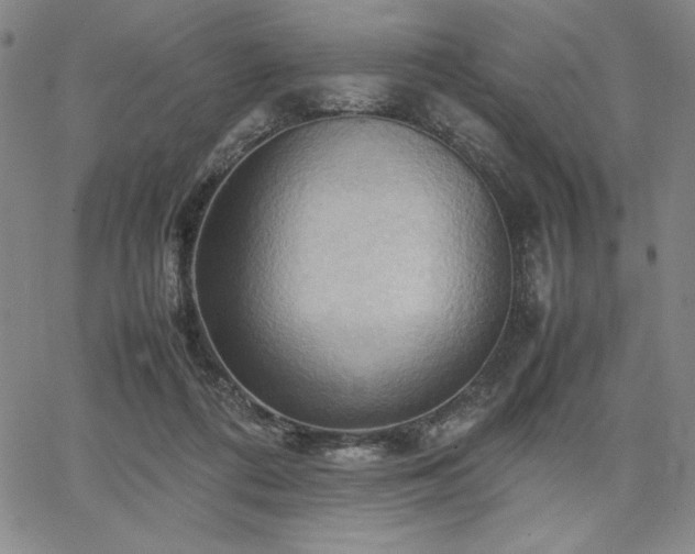 X0000067830312200604131207