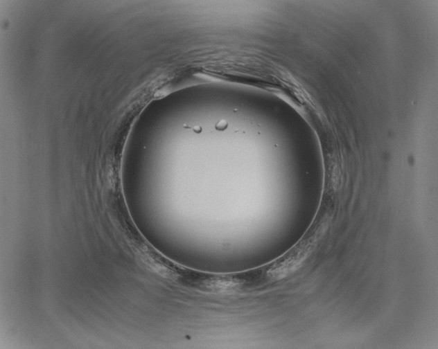 X0000067830313200604131207