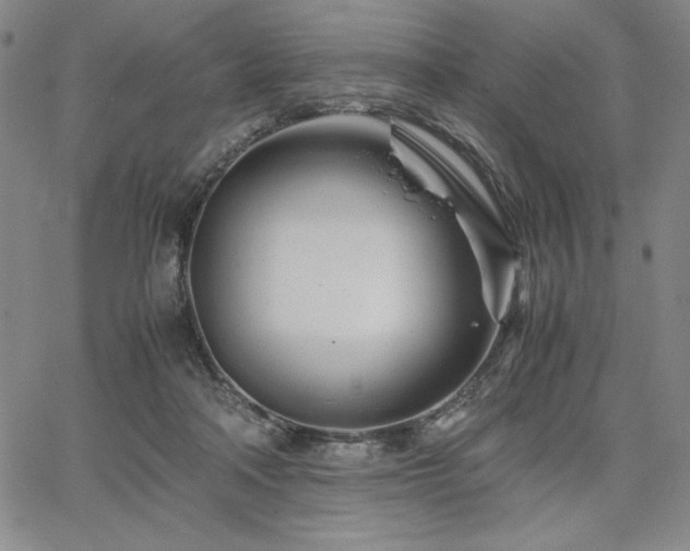 X0000067830314200604131207