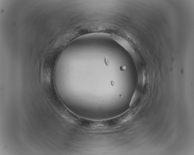 X0000067830315200604131207