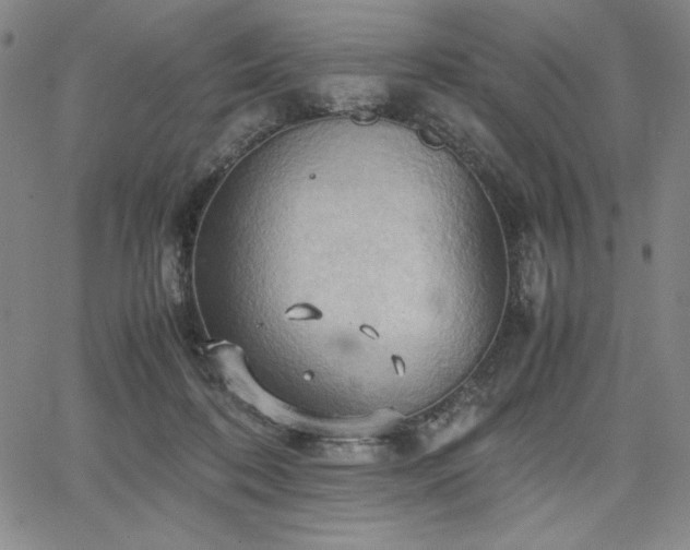 X0000067830316200604131207