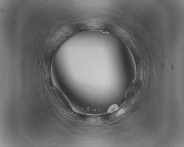 X0000067830317200604131207