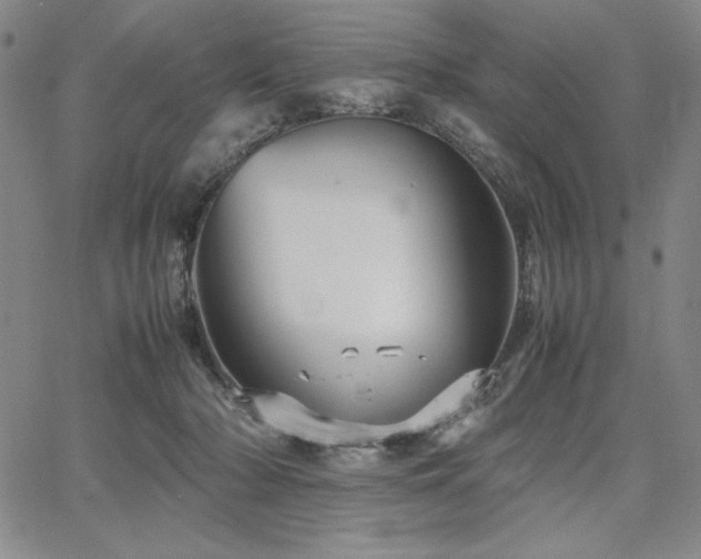 X0000067830318200604131207