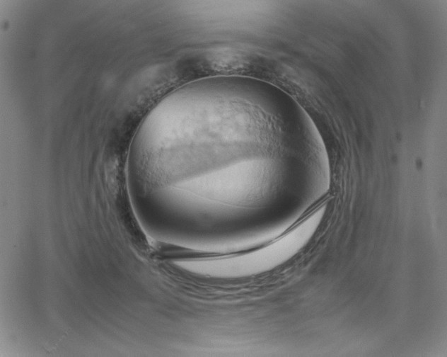 X0000067830319200604131207