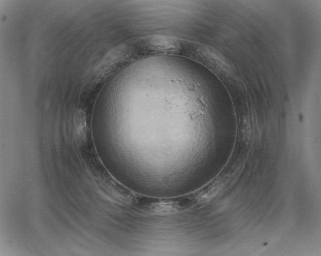 X0000067830320200604131207