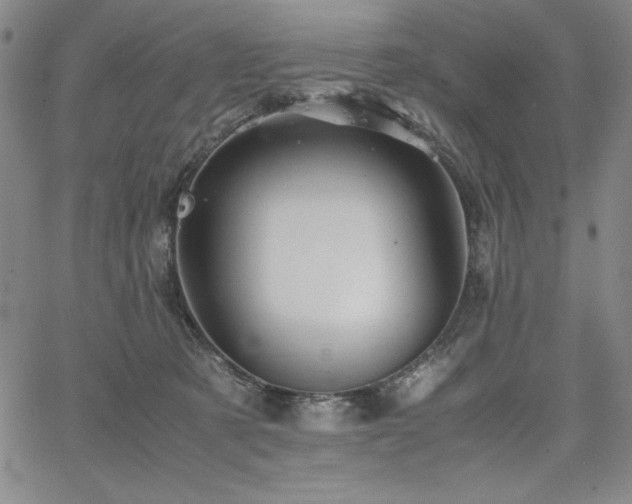 X0000067830321200604131207