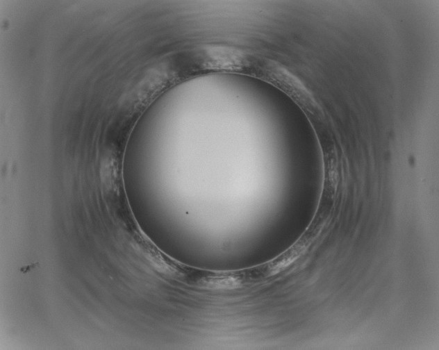 X0000067830322200604131207