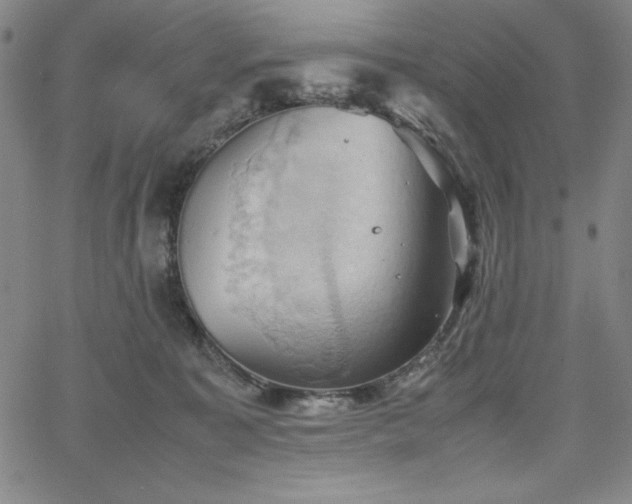 X0000067830323200604131207