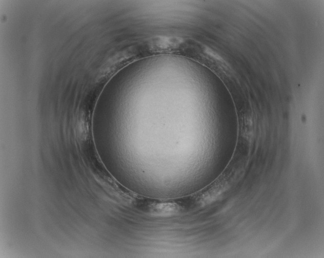 X0000067830324200604131207