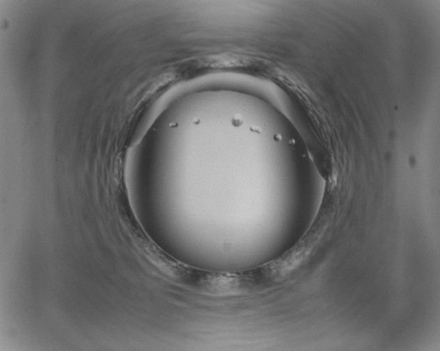 X0000067830325200604131207