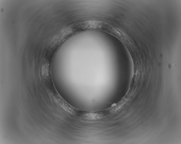 X0000067830326200604131207