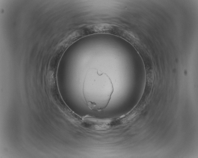 X0000067830327200604131207