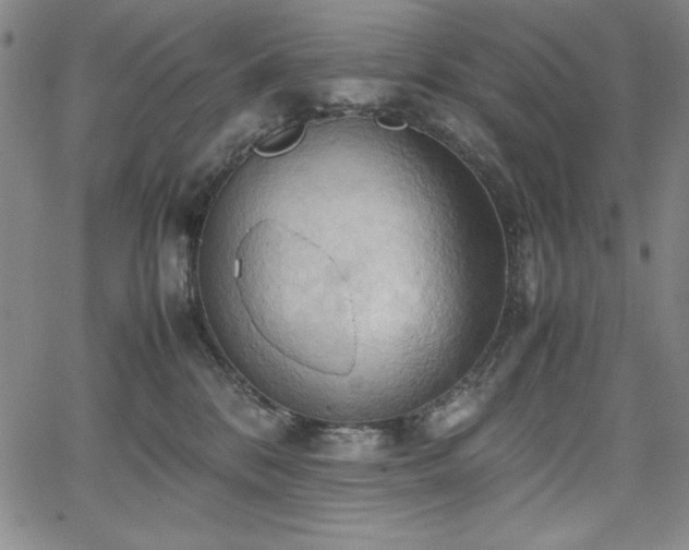 X0000067830328200604131207