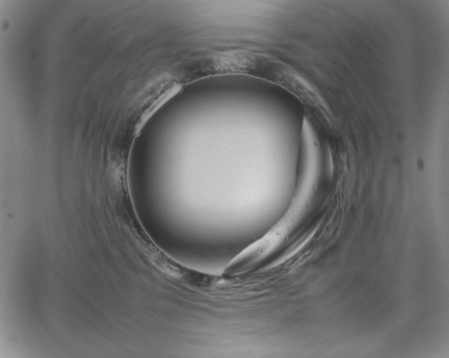 X0000067830329200604131207