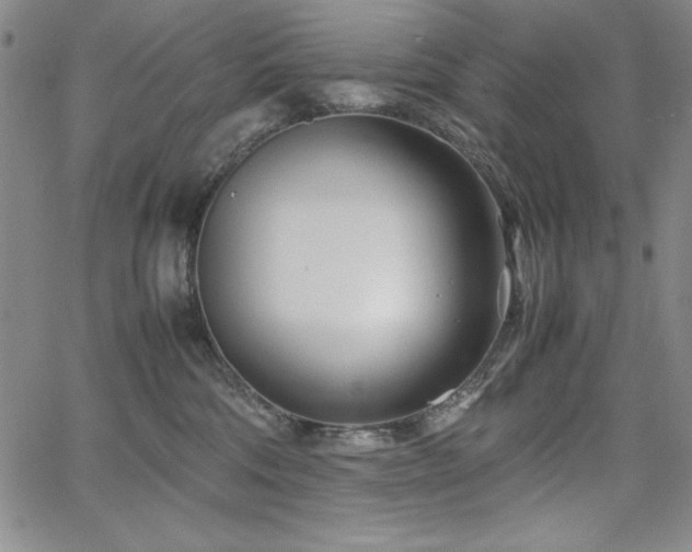 X0000067830330200604131207