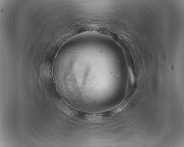 X0000067830331200604131207