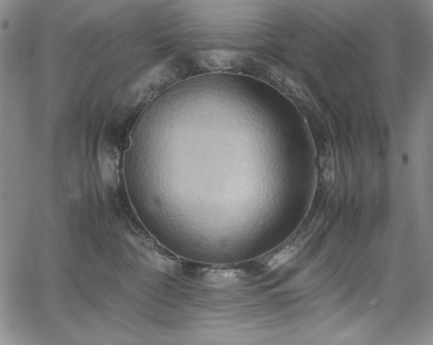 X0000067830332200604131207