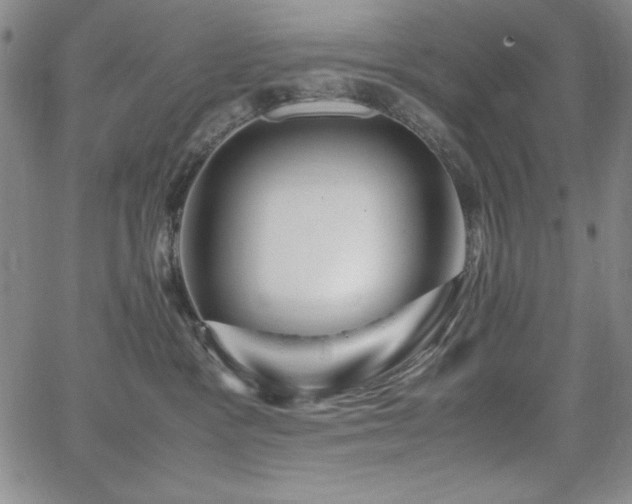 X0000067830333200604131207