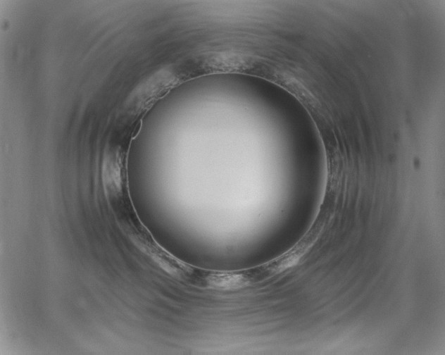 X0000067830334200604131207