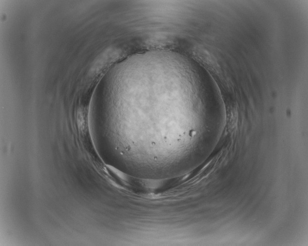 X0000067830335200604131207