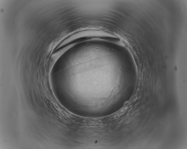 X0000067830337200604131206